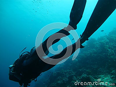 Diving in sea