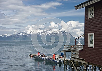 Dock on Norwegian fjord