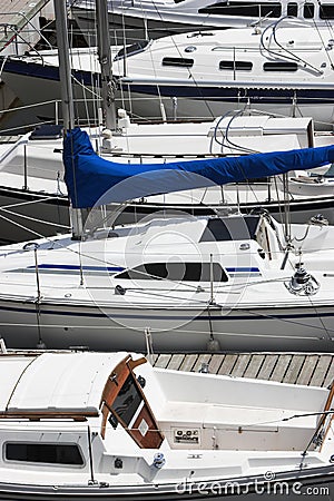 White sailboats docked at a marina on a sunny spring day.