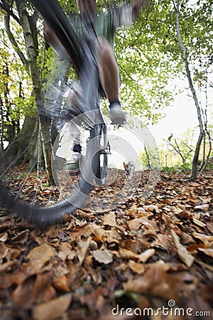 Dog Chasing Man On Mountain Bike