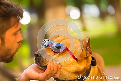 Dog in eyeglasses with a male model.