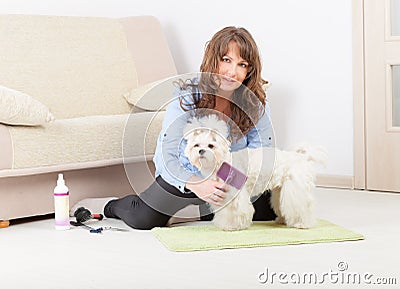 Dog grooming at home