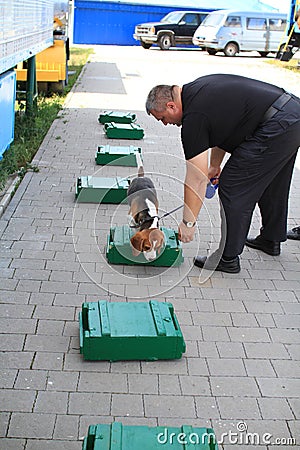 Dog handlers are trained in the customs dogs to look for drugs and weapons