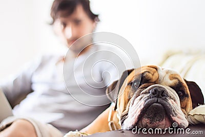 Dog And Man Stock Photo - Image: 28196690