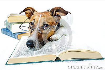 http://thumbs.dreamstime.com/x/dog-reading-books-23266795.jpg