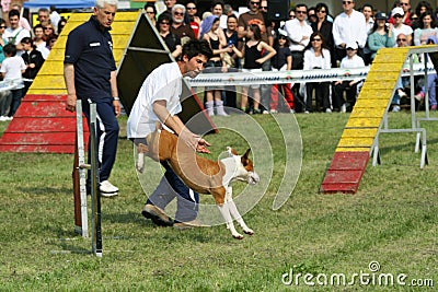 Dog trainer and dog agility