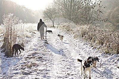 walk in winter