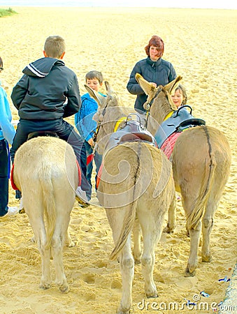 Donkey Rides.