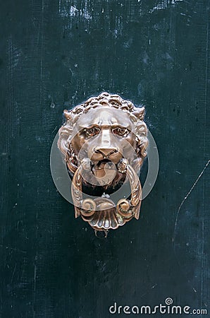 Mistrusting door knock lion head