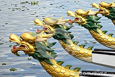 Dragon boat race