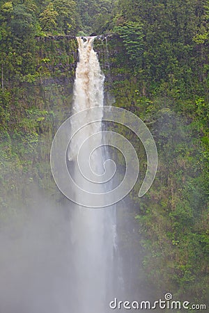 Dramatic, natural, tall waterfall in rain forest