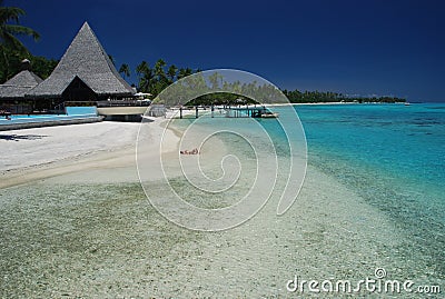 Dream beach. Moorea, French Polynesia
