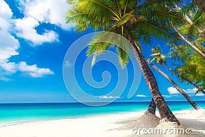 Dream scene. Beautiful palm tree over white sand beach. Summer n