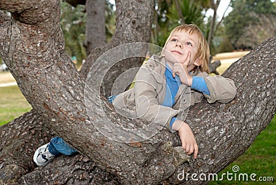 The dreaming little boy on a tree.