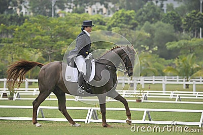 Dressage Equestrian