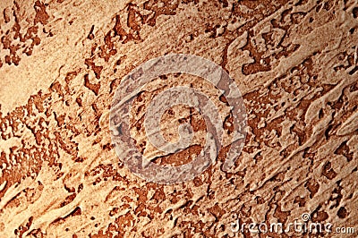  - dried-clay-brown-background-texture-12794796