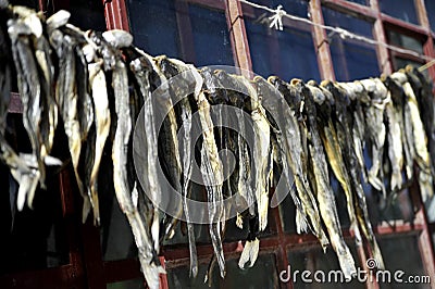 Dried fish