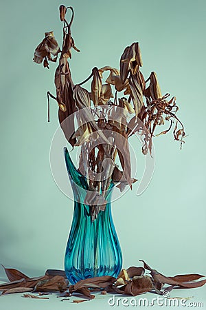 Dried flowers in a vase