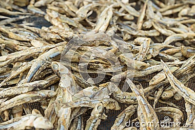 Dried small fish