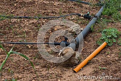 Drip Irrigation System. Water saving drip irrigation