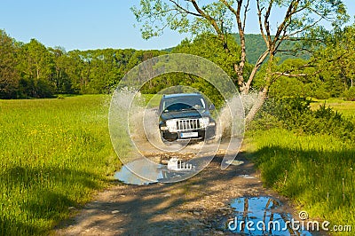 Driving off-road car in the clearings