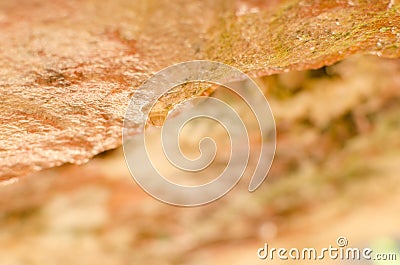 Drops of water on the underside rocks