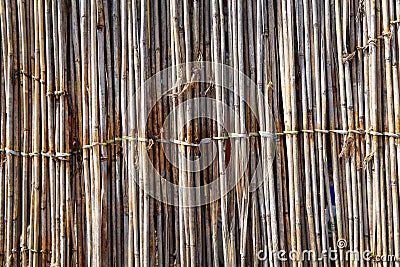 Dry bamboo wall texture background