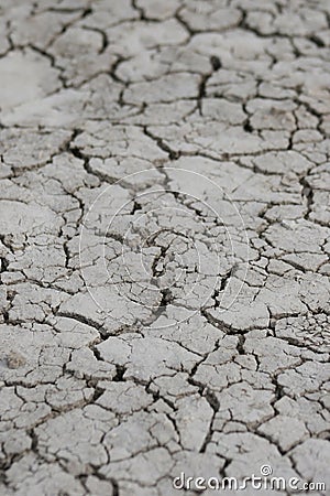 Dry and cracked desert dirt