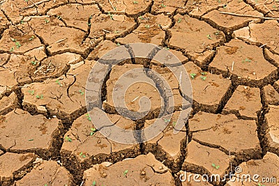 Dry cracked ground