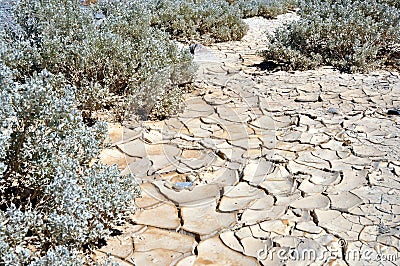 Dry and cracked land at Zabriskie point