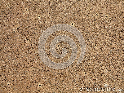 Dry dirt ground texture