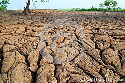 Dry earth texture at thailand
