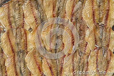 Dry fish background and texture
