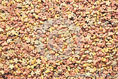Dry food for dog, cat