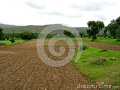 Dry Indian farm landscape