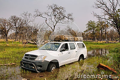 Dry landscape on winter in Moremi game reserve