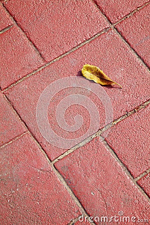 Dry leaf and red brick floor