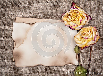 Dry roses and aged paper on the burlap