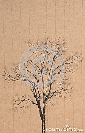 Dry tree on recycle paper background