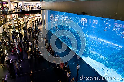 Dubai Aquarium in The Dubai Mall