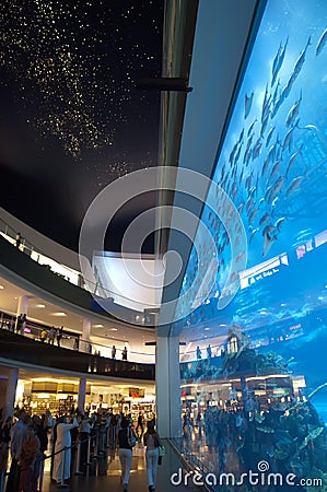 Dubai Aquarium at Dubaimall