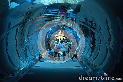 Dubai Aquarium at Dubaimall