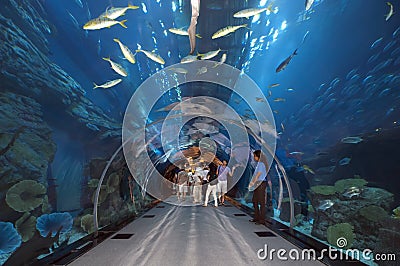 Dubai Aquarium at Dubaimall