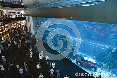 Dubai Aquarium at Dubaimall