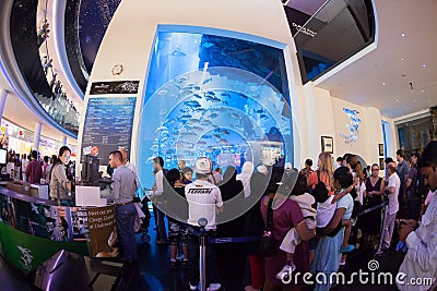 Dubai Aquarium and Under Water Zoo