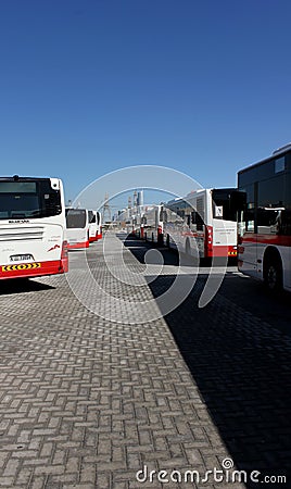 Dubai Buses lined up in Parking