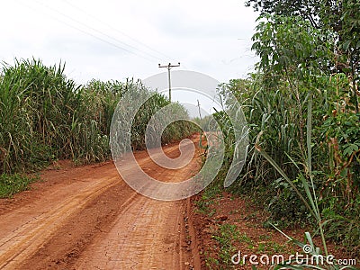 Dusty road in Ghana, Africa