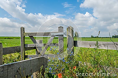 Dutch Landscapes - Baarn - Utrecht