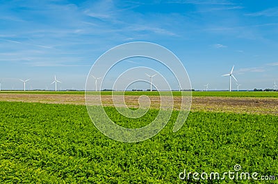 Dutch Landscapes - Flevoland