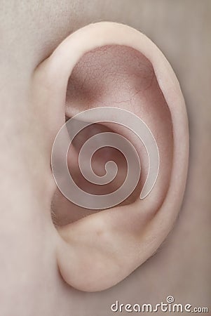Ear closeup